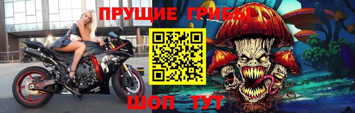 Псилоцибиновые грибы мицелий  цены   Галлюциногенные грибы Magic Shrooms  Котельники  Вход с VPN 